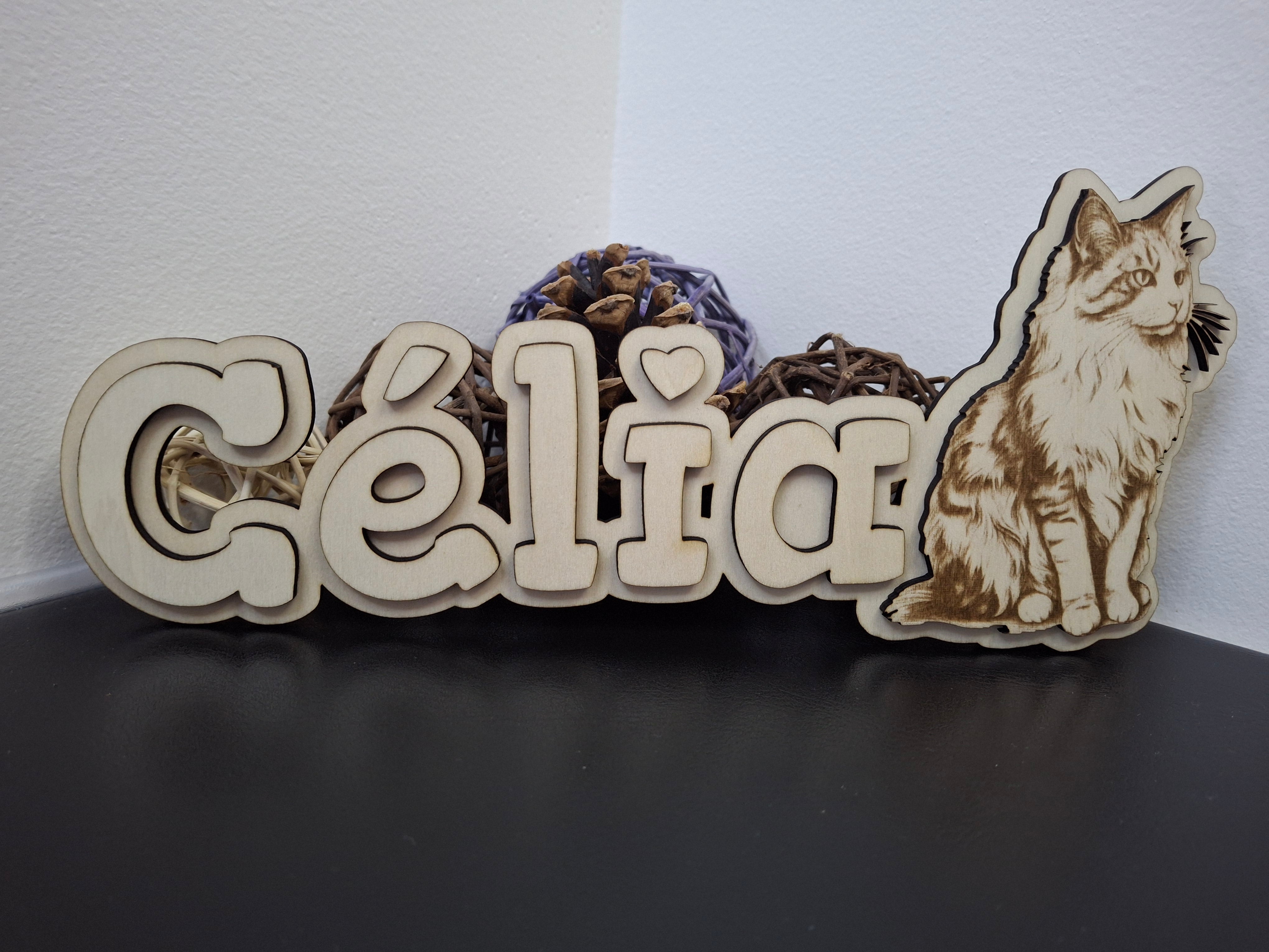 Plaque personnalisée en bois